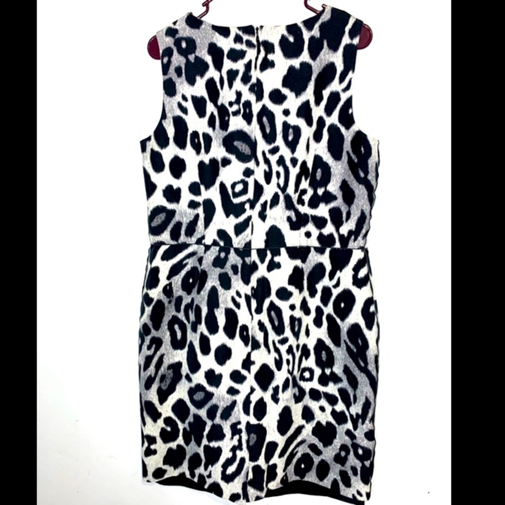 Ann Taylor Dress Sz 12 woman’s